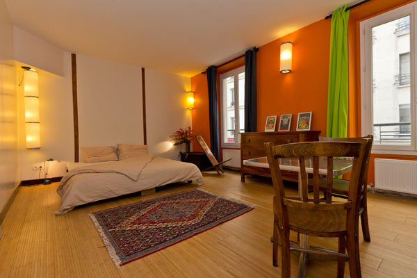 An independent guest studio on the second floor (G+1), perfect for up to two gue Paris, France Large studio in lively 11th. Private room in guest suite vacation rental 3360916