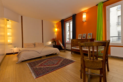 An independent guest studio on the second floor (G+1), perfect for up to two gue Paris, France Large studio in lively 11th. Private room in guest suite vacation rental 3360916
