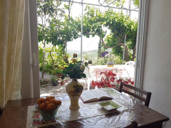 Manolas&ERakinthis house is located at the village Liridiana which is 10kilometr Chania, Greece Manolas&Erakinthis  village house Entire cottage vacation rental 18645994
