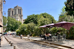 From the windows of our charming one bedroom hosting two to four guests, admire  Paris, France Fantastic view on Notre Dame + ac,  Abelard Entire rental unit vacation rental 13592311