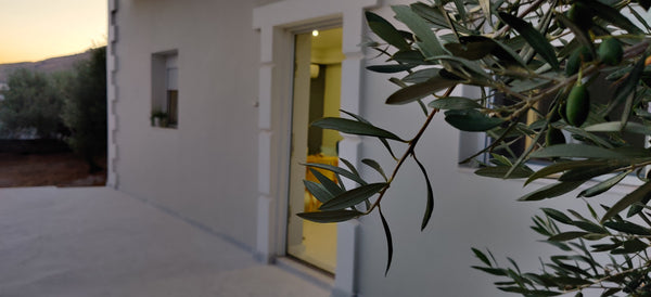 Built within a beautiful olive grove, offers tranquility and relaxation.<br /><b  Villa DELTUS - Cozy holiday home in South Crete Entire home vacation rental 44279509