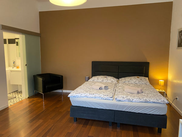 Enjoy Vienna in a centrally located, beautiful studio apartment. It´s equipped w Gablitz, Austria Charming City Apartment Gaudenz Entire rental unit vacation rental 6454444