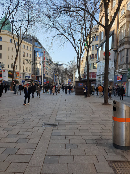 Mitten in der Mariahilfer Strasse (Shoppingmeile mit Cafes) und doch ruhig. Schl  -- Entire rental unit vacation rental 51458523