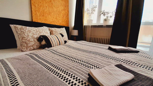 Hello :) <br />I am Alex. <br />And you will be warmly welcomed at my apartment! Prague, Czechia ☀ Lovely apartment in the center of Prague ☀ Entire rental unit vacation rental 648205774798019438