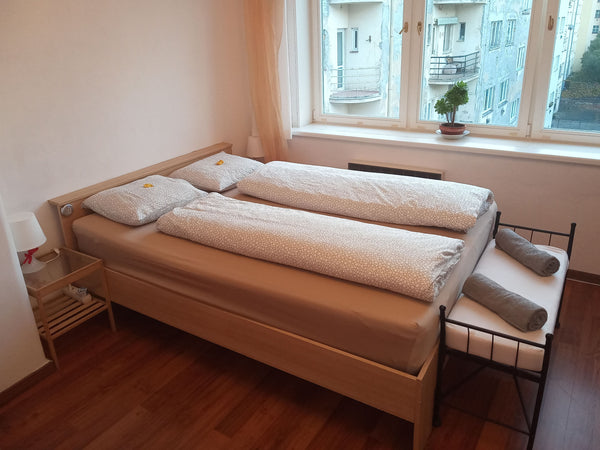 Cozy apartment (30 m2) is waiting for you, lot of lights, sun and quiet with vie Prague, Czechia Zizkov apartment Entire condo vacation rental 31535383