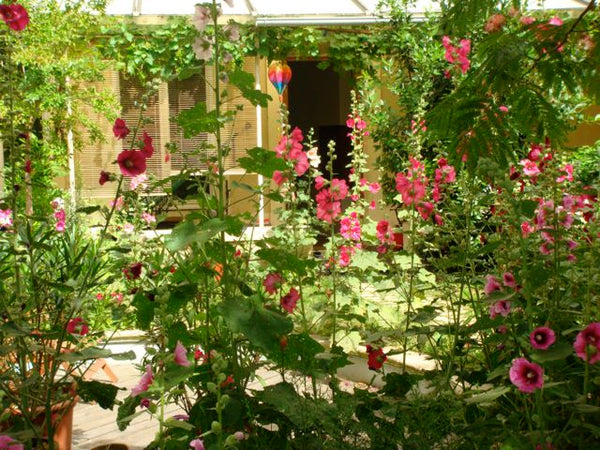 C'est une chambre qui a beaucoup de cachet dans un appartement d'architecte de r  Chambre typique  Croix Rousse avec accès jardin Private room in loft vacation rental 12787037