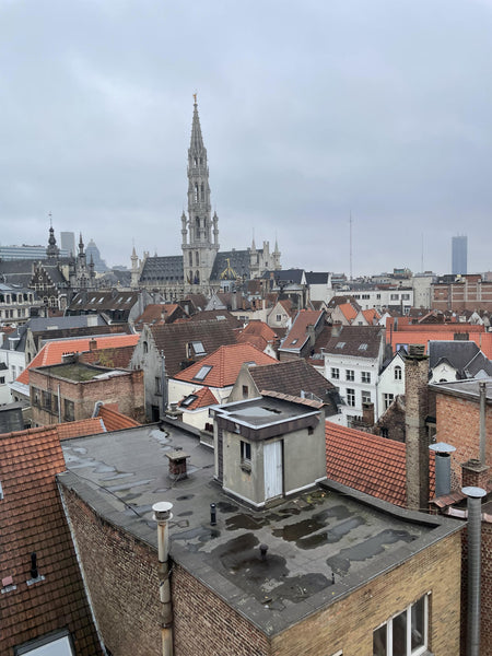stay at the center of Brussels<br /><br /><b>The space</b><br />Amazing large st  Amazing view, large cozy flat in the heart of Brussels. Entire rental unit vacation rental 618656652102899734