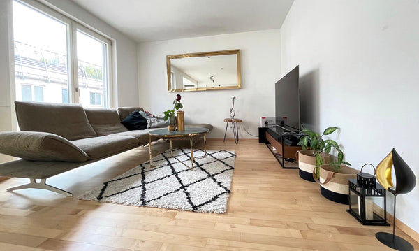 Fully furnished apartment to rent in city centre. You will experience the Vienne Vienna, Austria Luxury Apartment with 2 bathrooms in City Centre Entire rental unit vacation rental 588291446614741358
