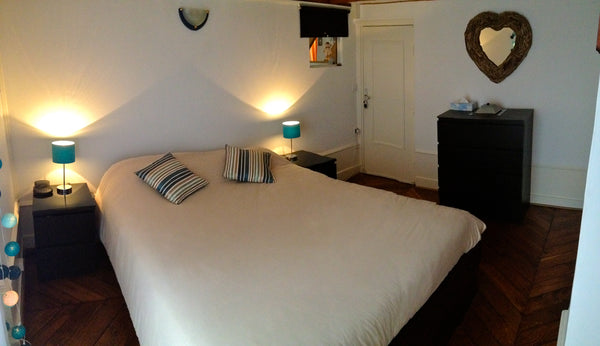 Magnifique appartement, restauré, au cœur de Lyon,  place Bellecour. Donnant sur Lyon, France Grand, cosy, au calme,PLACE BELLECOUR Entire rental unit vacation rental 9484677