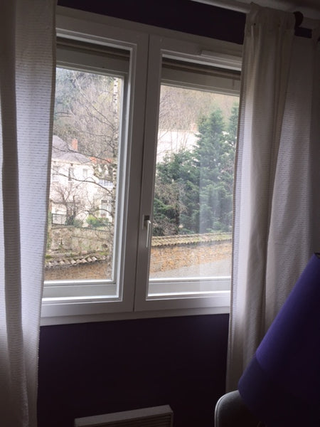 en bord de Saône, métro et bus à proximité, chambre de 11 m² bien éclairée avec  Lyon, France Belle chambre dans un endroit calme Private room in rental unit vacation rental 12076912