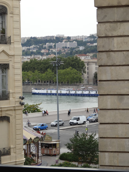 Studio situé au 5ème étage avec vue sur les berges du Rhône; situation  très cen France studio vue sur berges Entire rental unit vacation rental 43966452