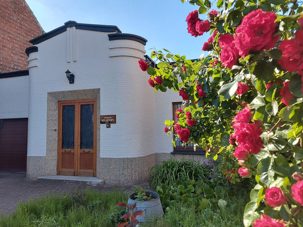 Gezellige bungalow op een boogscheut van Gent en natuurgebied Gentbrugse Meersen Ghent, Belgium Gezellige art deco Bungalow met parkeerplaats Entire bungalow vacation rental 50261707