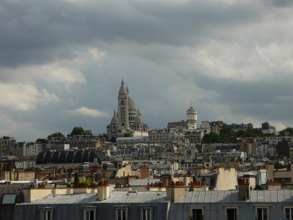Studio situé tout près des puces de Saint-Ouen, proche également de Montmartre,   Plein Ciel Entire rental unit vacation rental 15658128