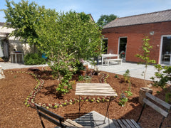 het Huis heeft op de eerste verdieping twee slaapkamers (2-4 personen per kamer) Lochristi, Belgium Logeren in het TakkeTiele Huis Entire home vacation rental 23242340