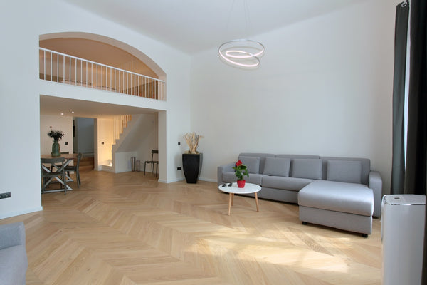 Appartamento situato nel pieno centro storico di Praga 1 a 50 mt dal museo Nazio Milan, Italy Exclusive Flat in the center of Prague 1 Entire condo vacation rental 30000087