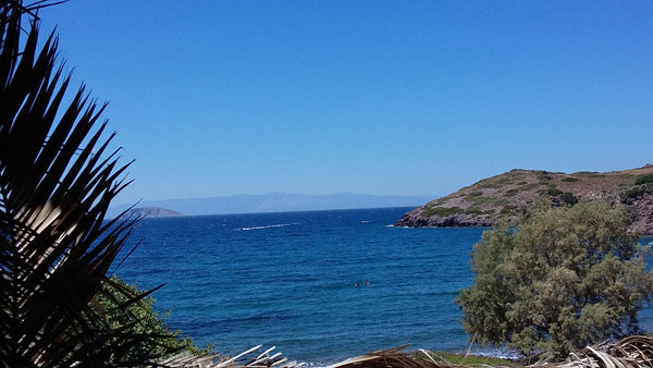 Situated in front of the Aegean Sea, 200 m from the beach, with a beautiful terr France Kalymnos-Blue Entire condo vacation rental 11665871