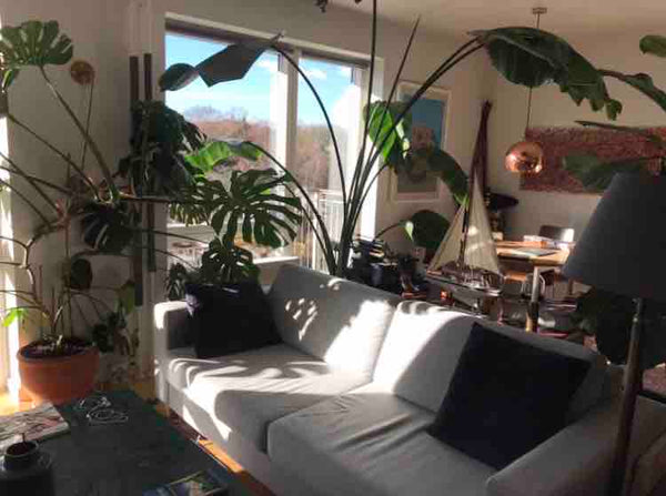Incredibly homely apartment with only 2.5 km from the city center. Bright and re Copenhagen, Denmark Feel-Home Apartment - With Bicycles Private room in rental unit vacation rental 13662173