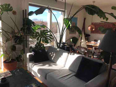 Incredibly homely apartment with only 2.5 km from the city center. Bright and re Copenhagen, Denmark Feel-Home Apartment - With Bicycles Private room in rental unit vacation rental 13662173