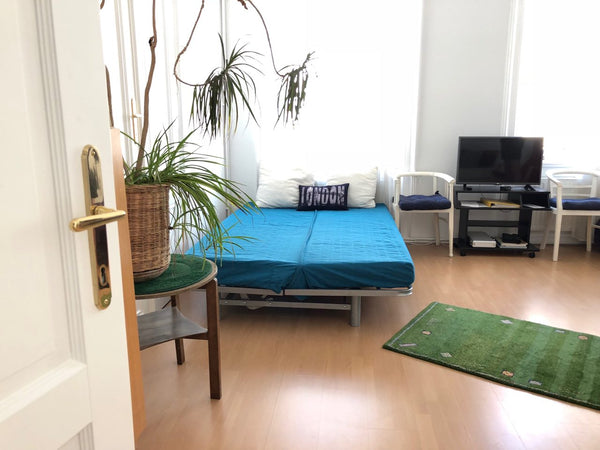 A gorgeous big private room with comfortable double sleeping sofa in a typical v  Private room in a Freud dist. (10 min to Center ) Private room in rental unit vacation rental 26809695