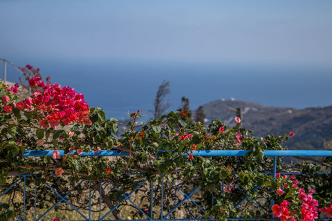 Το AEGEAN VIEW ANDROS, οικία κυκλαδίτικης αρχιτεκτονικής, βρίσκεται στο<br />χωρ  Aegean View Andros Cycladic home vacation rental 35259510