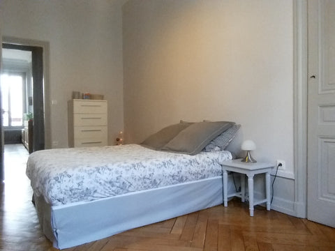 Bienvenue à Lyon !<br /><br />Bel appartement dans un immeuble Haussmannien en p Lyon, France Chambre double ds appart haussmannien Lyon centre Private room in rental unit vacation rental 30147668