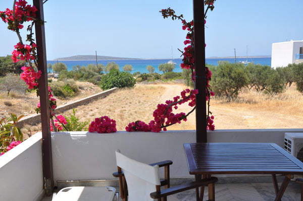 The studio is 100 meters from the sea and between the two Aliki main sandy beach  Sea View Studio near sandy beaches Entire rental unit vacation rental 24626706