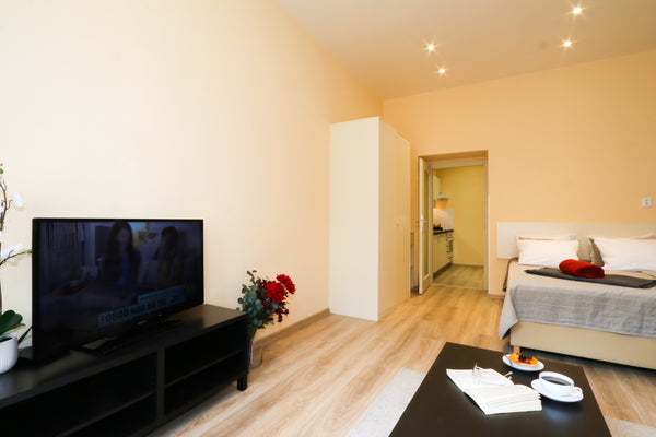 One bedroom apartment in newly reconstructed building in Prague 2, Vinohrady. <b Mníšek pod Brdy, Czechia Machova 19, # 18 Entire rental unit vacation rental 30973402