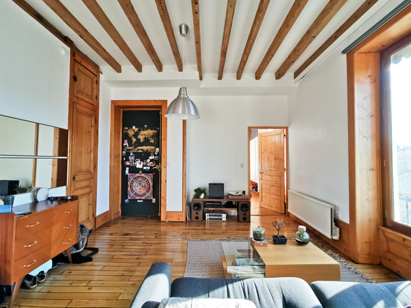 Bienvenue chez nous !<br /><br />Nous vous accueillons dans notre logement de 55 Lyon, France Joli appartement lumineux charme lyonnais Entire rental unit vacation rental 35751455