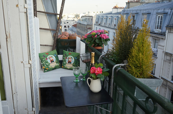 Au pied de Montmartre, appartement lumineux et calme avec balcon pour prendre so Paris, France Soleil et calme à Montmartre Entire rental unit vacation rental 5387603