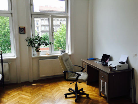 <b>The space</b><br />Your room is in a completely new renovated 190 square mete Vienna, Austria Comfy bright clean Room in huge super central flat Private room in rental unit vacation rental 13486274