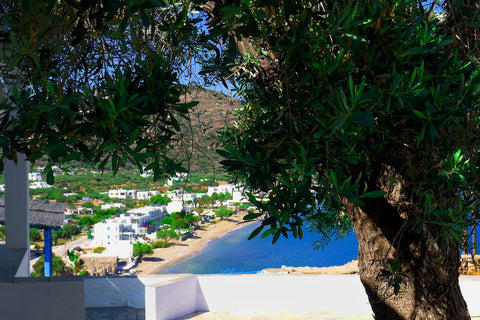 Artemis Studios offre une vue exceptionnelle, à 150 m de la plage, des restauran Greece Studio face au Grand Bleu, Platys Gialos, Sifnos Private room in nature lodge vacation rental 19854406