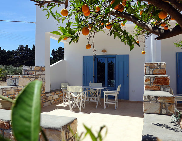 WELCOME TO LEVANDER<br />Bright white in all its grandeur, modern and cosy, LEVA  Flora Apartments | Levander Entire home vacation rental 18783990