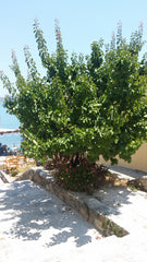 Set on full centre of Elounda Village  and main coast, offers elegant new appart  Elounda Sea View Studios Entire condo vacation rental 27947421
