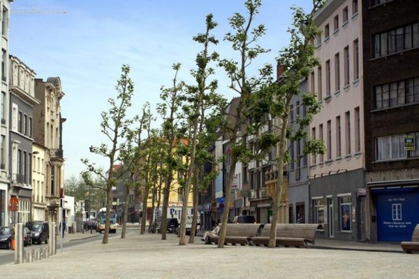 A charming studio located in the old harbor district of Antwerp known as the leg Walsoorden, Netherlands Perfect Location, location, location Entire rental unit vacation rental 40271527