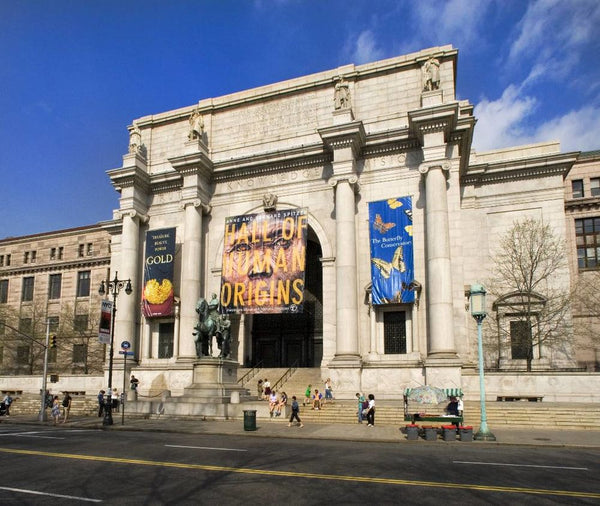 Enjoy a warm one bedroom in the heart of the historic Upper West Side!  Down the New York, NY Rental unit in New York · 1 bedroom · 1 bed · 1 bath Private room in rental unit vacation rental 6279160