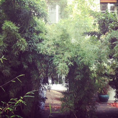 Nice 24ms studio in center of Paris (2e arrondissement) on rue Monteorgeuil, the  studio in Center Paris Entire rental unit vacation rental 7337730