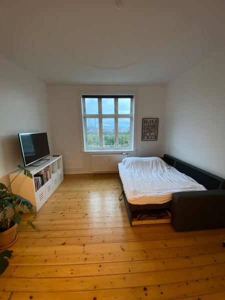 Hele gruppen har nem adgang til alt fra denne centralt beliggende bolig. Copenhagen, Denmark Stort privat værelse centralt i København Private room in condo vacation rental 52486296