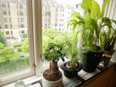 Our appartment is located right in the cool Vesterbro area, with basicly everyth Copenhagen, Denmark Soulful Appartment in charming area, Copenhagen V Entire rental unit vacation rental 25261246