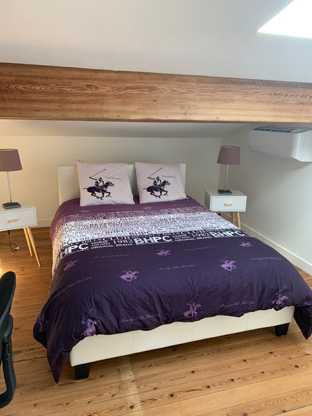 Vous serez accueillis dans une maison bordelaise avec jardin dans un quartier ré Bordeaux, France Chambre dans maison avec jardin à Bordeaux Centre Private room in townhouse vacation rental 45199649