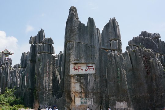 Private Tour: Stone Forest and Flower Birds Market with Lunch  Private Tours and Travel Guide Asia Shanghai CITY Kunming Destination Tour