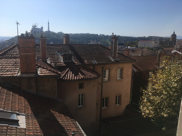 You will feel like a local in this typical neighbourhood with food shops, restau Lyon, France Cosy apartment in Croix Rousse with stunning view Entire rental unit vacation rental 23977879