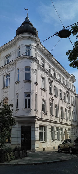 Genieße den Charme von Wien in einem wunderschönen Gründerzeit- Haus. Das voll a  Privat Zimmer in Penzing, 2 min zur U-Bahn Private room in condo vacation rental 711315965568686160