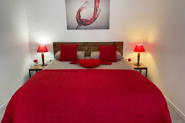 Petit studio de 25 m2 de plein pied avec cuisine équipée, salle de bain avec WC  Bordeaux, France Vinadora Entire vacation home vacation rental 624396317970605774