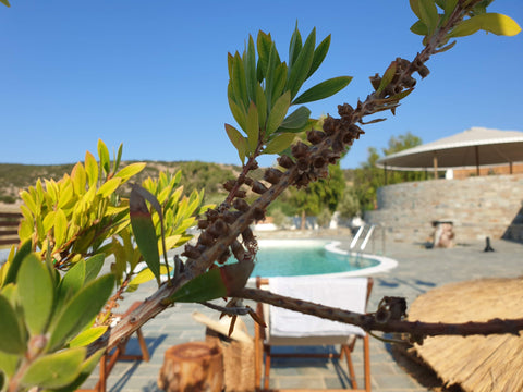 These cute timber huts with a vintage feel are ideal for couples, friends or fam  Anassa Cycladic Village - Timber Huts Entire place vacation rental 50126570