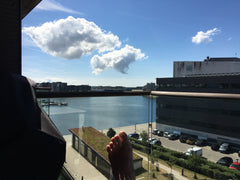 Min bolig er god til par og soleeventyrere.<br /><br /><b>The space</b><br />The Copenhagen, Denmark Private Room in a Luxury Apartment with view Private room in condo vacation rental 13279240