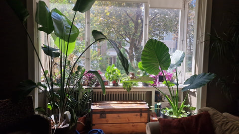 Bonjour-Bonjour !<br /><br />Ici vous avez votre propre chambre dans une maison, Brussels, Belgium Chambre little & comfort dans une agréable maison. Private room in townhouse vacation rental 689151706992036260