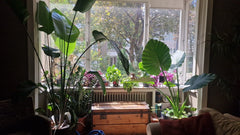 Bonjour-Bonjour !<br /><br />Ici vous avez votre propre chambre dans une maison, Brussels, Belgium Chambre little & comfort dans une agréable maison. Private room in townhouse vacation rental 689151706992036260