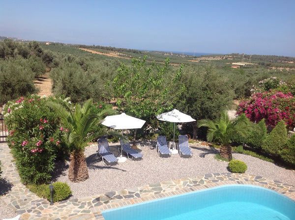Detached villa with private pool, 10 min. by car from the beach and close to the Doorn, Netherlands Villa , 2 bedrooms, pool, BBQ Entire home vacation rental 11882123