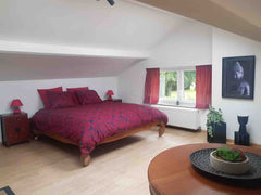Je vous propose une chambre lumineuse et agréable à l'étage de la villa dans une  grande chambre à découvrir! Private room in villa vacation rental 38795665