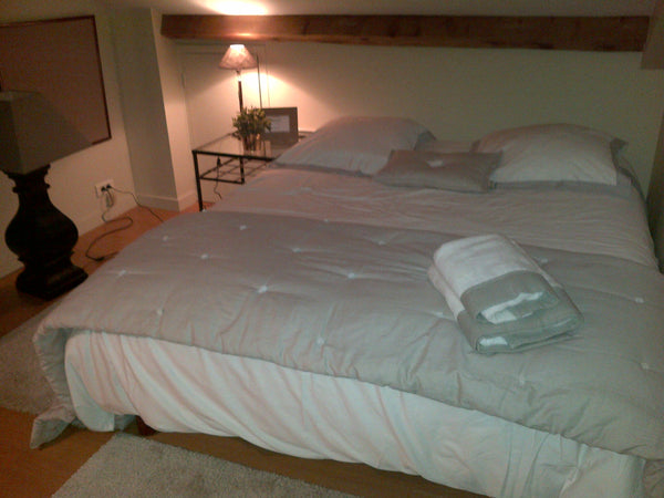 Chambre calme avec un lit double/ parquet au sol/armoire de rangement et ambianc Lyon, France Très jolie chambre douillette Vendome dans le 6 e Private room in rental unit vacation rental 21532075
